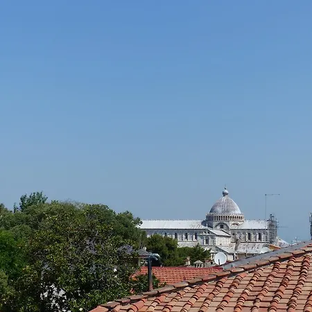 7 Pisa