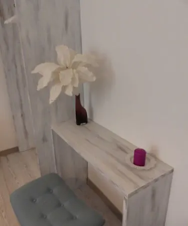 7 Pisa
