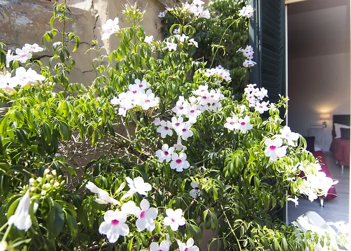 Bed & Breakfast 7 Pisa